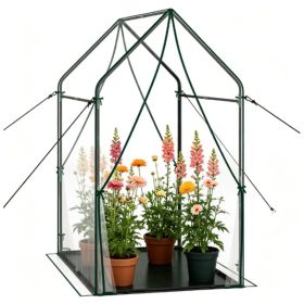 54" x 36" x 67" Portable Mini Greenhouse with PE Bottom Mat, Clear PVC Plant Grow Tent, Wind Resistant Metal Frame Outdoor Green House with Stake (Option: Default Title)